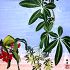 山極 裕史